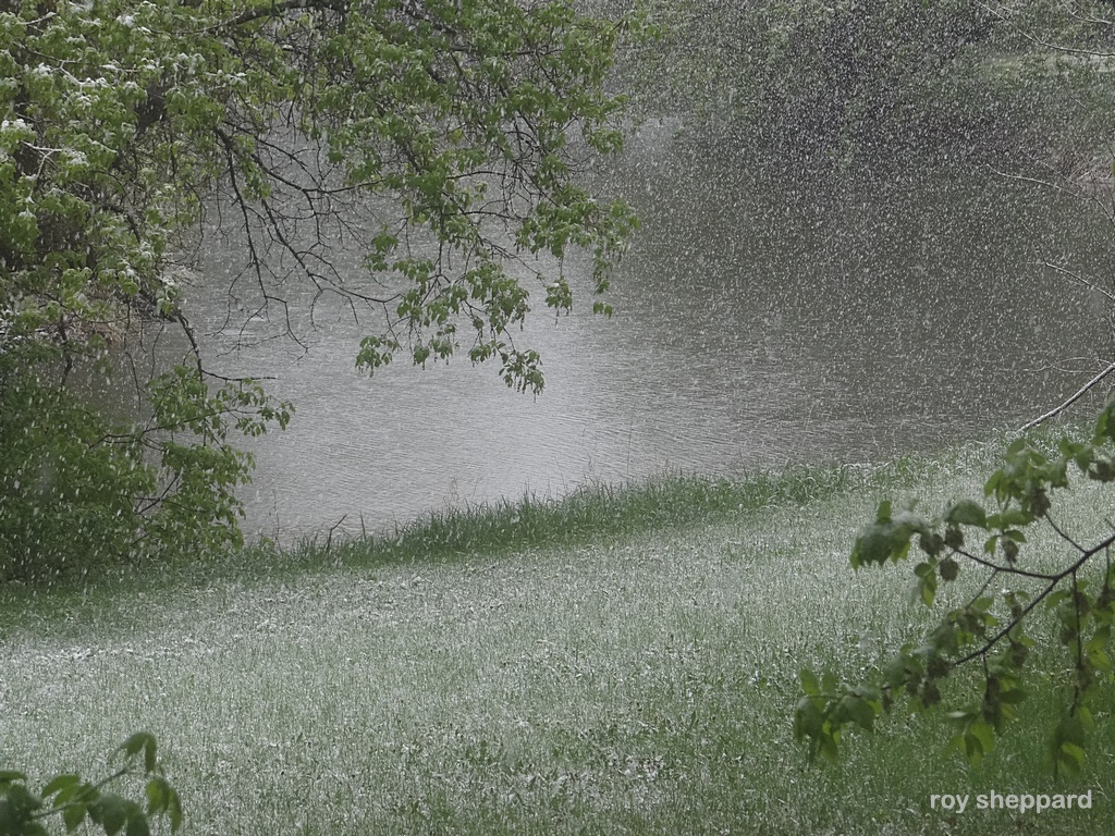 Mother's Day snow May 10, 2015 Jamestown, ND  - CSi Photos